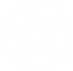 chicagocommunitydevelopment.png